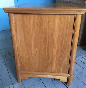 Pair of Chinese Elmwood Two-Door Nightstand Commodes