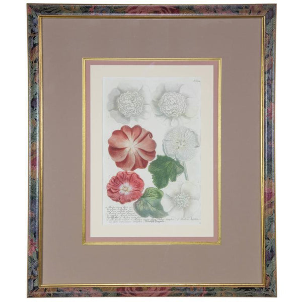 Hand-Colored Botanical Floral Framed Art Print