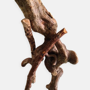 Slash Abstract Organic Tree Root Wood Sculpture by Plum, circa 2007